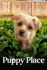 小狗广场第二季 海报