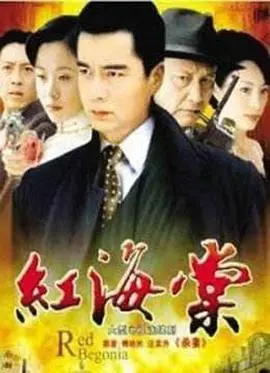 《红海棠》：战火中的凄美爱情，时代洪流下的女性悲歌，乱世佳人的宿命抉择！