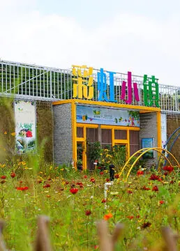 《彩虹小镇》：探索奇幻色彩的治愈之旅，重拾童心与梦想的温馨童话